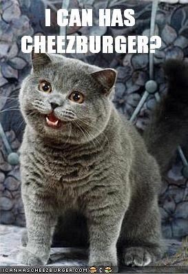 I Can Has Cheezburger? (2007)